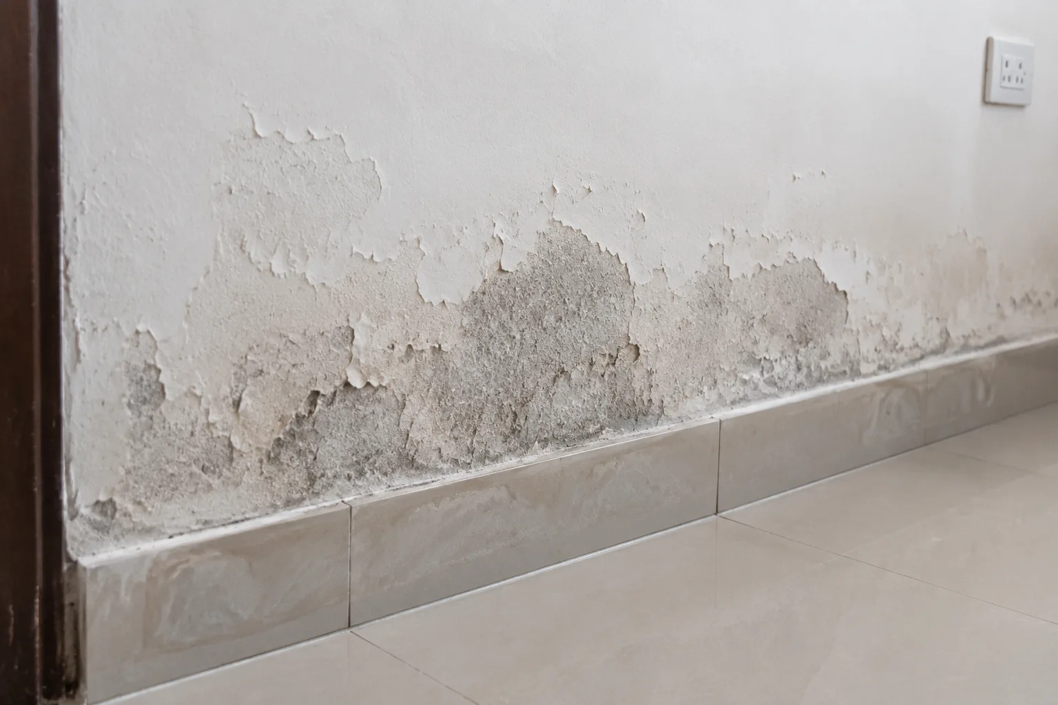 Damp Wall
