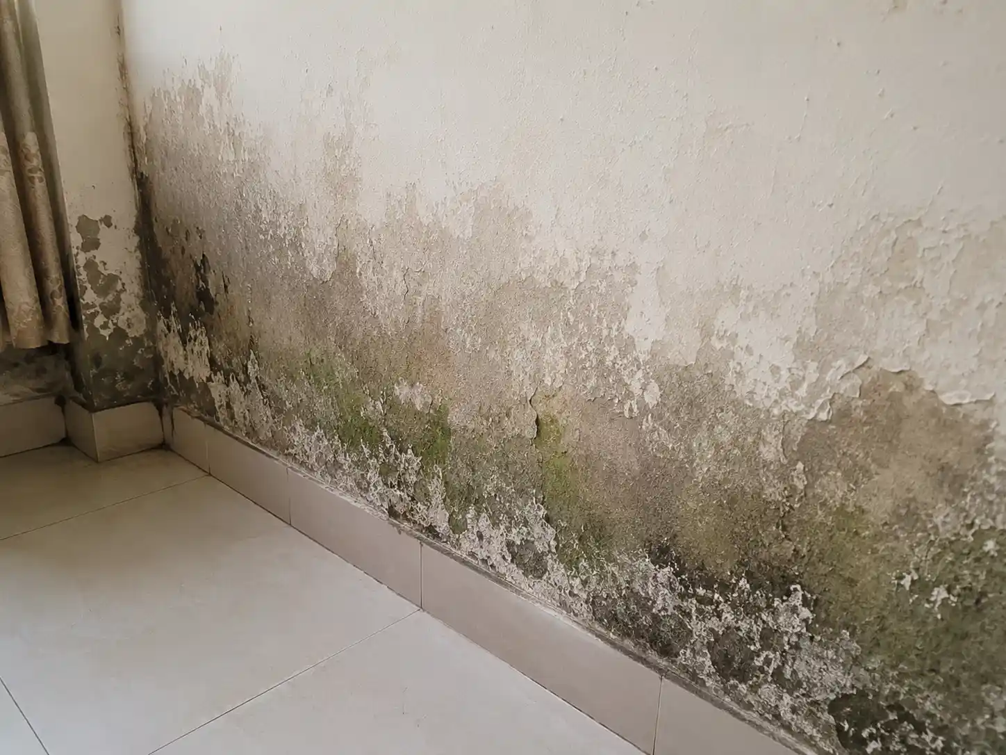 Damp Wall